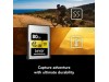 Lexar 80GB Professional CFexpress Type A Card GOLD Series LEXAR LCAGOLD080G-RNENG 